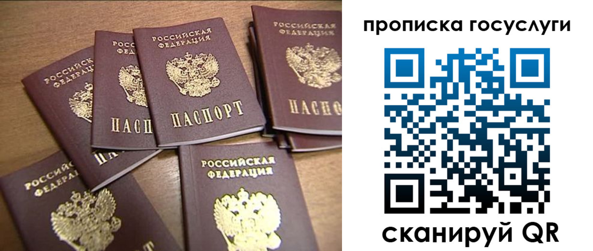 прописка для работы в Кольчугино